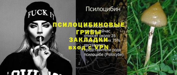 стафф Аркадак