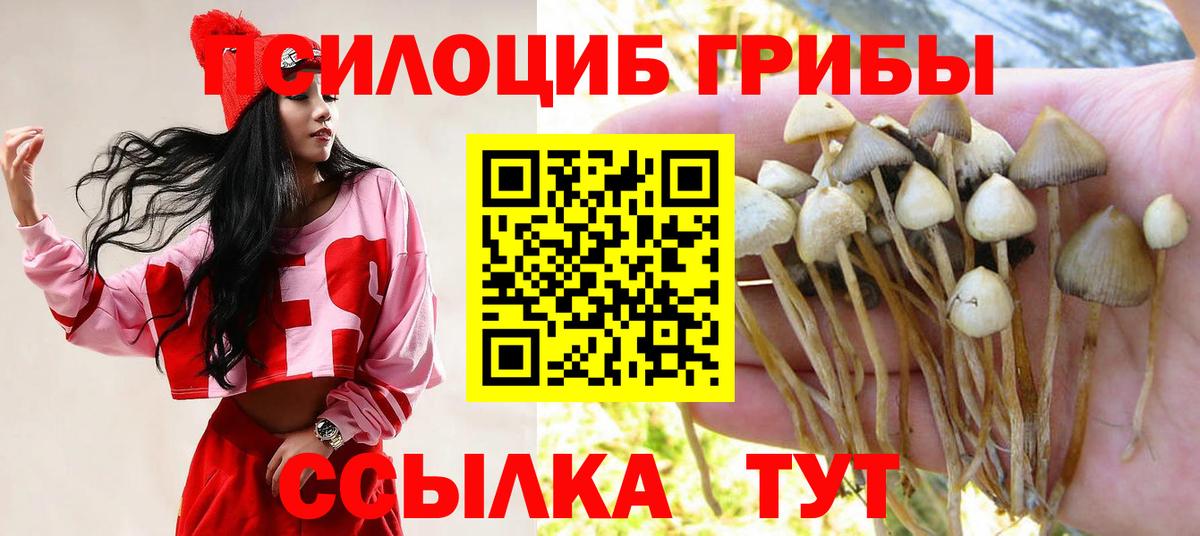 Псилоцибиновые грибы MAGIC MUSHROOMS Учалы